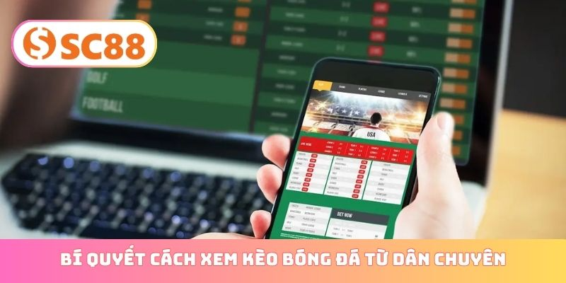 Bí quyết cách xem kèo bóng đá từ dân chuyên