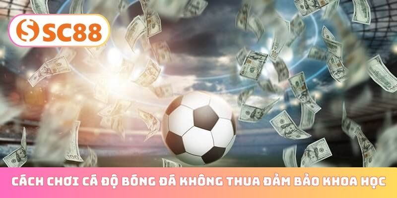 Cách chơi cá độ bóng đá không thua đảm bảo khoa học