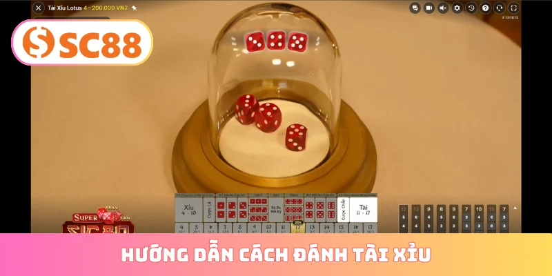 hướng dẫn cách đánh tài xỉu