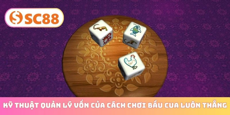Kỹ thuật quản lý vốn của cách chơi bầu cua luôn thắng