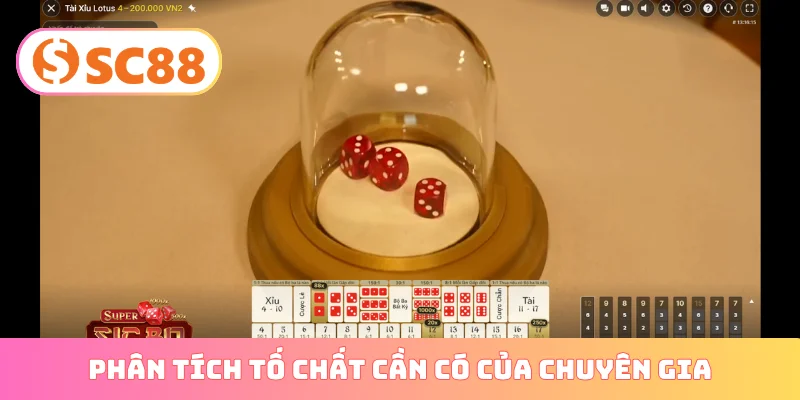 Phân tích tố chất cần có của chuyên gia
